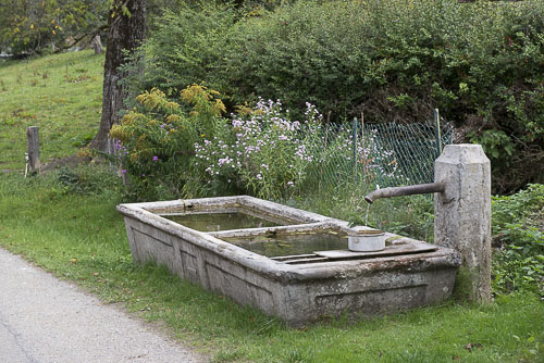 un vieux lavoir